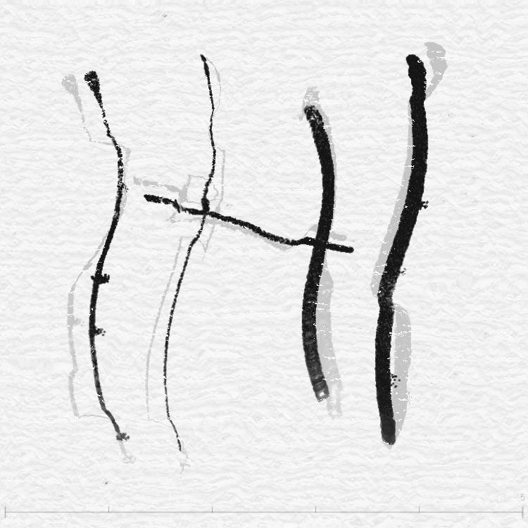 FBM扭曲效果 — 隔著水面折射變形